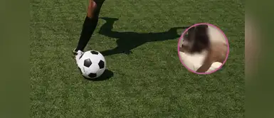 Famoso futbolista es descubierto siendo infiel ¡ESCÁNDALO TOTAL! Futbolista de selección es descubierto en plena INFIDELIDAD y su novia lo expone en video que se hace VIRAL