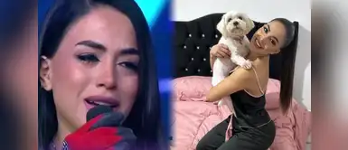 Onelia Molina revela cómo murió su perrita Nieve Onelia Molina revela dolorosa escena: conductor arrolló a su mascota y siguió como si nada