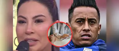 Pamela López se hace examen de ETS tras infidelidades de Christian Cueva y resultados dejan en shock. Pamela López se hace examen de ETS tras infidelidades de Christian Cueva y resultados dejan en shock: "Qué asco"