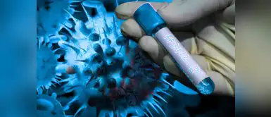 Expertos aseguran que esta práctica simple resulta clave para prevenir la gripe H3N2 ES OFICIAL | Expertos aseguran que esta práctica simple resulta clave para prevenir la gripe H3N2