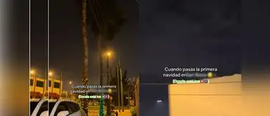 Conoce el distrito de Lima donde NO SE USÓ PIROTECNIA: "Respeto a los animales, silencio total" Conoce el distrito de Lima donde no se usó pirotecnia: "Respeto a los animales, silencio total"