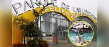 Estos son los 3 DOCUMENTOS que puedes presentar para entrar GRATIS. Conoce quienes pagan entrada regualar. Parque de las Leyendas 2026: qué documentos permiten ingresar GRATIS todo el año y quiénes pagan entrada regular