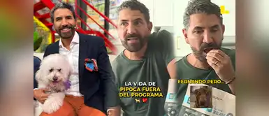 Fernando Díaz muestra su día con su mascota Pipoca Periodista Fernando Díaz deja en shock al comer croquetas de su mascota y usuarios reaccionan: "Se vale tener secretos"
