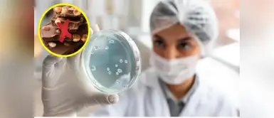 Autoridades emitieron alerta por esta marca de chocolates Alerta sanitaria | Detectan salmonela en conocida marca de chocolates y ordenan su retiro