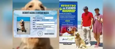 DNI para mascotas: Miraflores lanza registro único para peludos, todo lo que debes saber. DNI para mascotas: Municipalidad de Miraflores lanza nuevo registro y así puedes inscribir a tu peludo