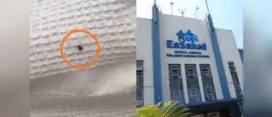Mujer halla garrapata en hospital de Nuevo Chimbote y denuncia grave falta de higiene en EsSalud. Mujer encuentra una garrapata en la cama de hospital de EsSalud y denuncia grave falta de higiene