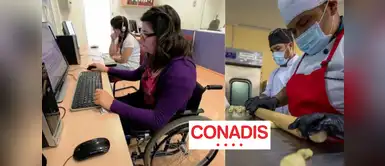 Conadis ofrece más de 90 vacantes en cursos gratuitos para personas con discapacidad. Conadis ofrece cursos GRATIS para personas con discapacidad: postula a una de las 90 vacantes