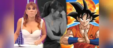 Usuarios aconsejan a Magaly Medina Usuarios ACONSEJAN a Magaly Medina tras exponerse la cifra de su BAJO RATING: "Pide que te pongan Dragon Ball antes a ver si subes algo"
