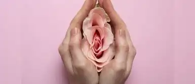 Los expertos hacen recomendaciones. Cuidar la microbiota vaginal: La importancia del Lactobacillus crispatus