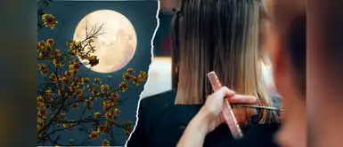 Calendario lunar para cortarse el cabello en marzo 2026: los mejores días para que el pelo crezca reluciente Calendario lunar para cortarse el cabello en marzo 2026: los mejores días para que el pelo crezca reluciente