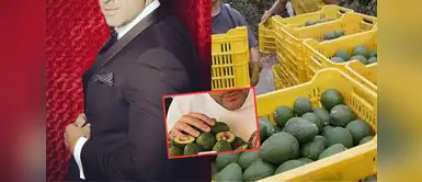 El galán de Rubí ahora vende aguacates para salir adelante. Reconocido actor y galán de novelas se recursea vendiendo paltas ante la falta de trabajo: “Ha sido muy difícil, un sube y baja”