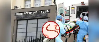 Alerta por muertes de leptospirosis en Perú: quiénes son más vulnerables y acciones del Minsa. MINSA anuncia alerta sanitaria tras fallecidos por leptospirosis: ¿quiénes son los más vulnerables al contagio?