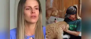 Alejandra Baigorria recibió un beso inesperado. Alejandra Baigorria emociona con gesto hacia perrito callejero y redes le aplauden: “Te admiro, mujer”