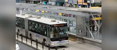 Metropolitano confirmó CONTUNDENTE CASTIGO ES OFICIAL | Metropolitano confirmó CONTUNDENTE CASTIGO si prestas tu tarjeta de MEDIO PASAJE