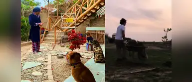 Querido actor y exconductor peruano de TV sorprende al dejar la fama y vivir aislado del mundo con sus 4 perros. Querido actor y exconductor peruano de TV se aleja de todo y ahora vive aislado del mundo acompañado de sus 4 perros