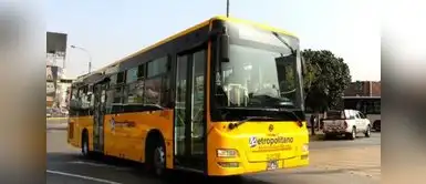 Conoce qué rutas se ven afectadas con los cambios. Metropolitano modifica paraderos de alimentadores desde hoy: revisa los servicios afectados
