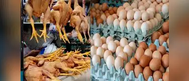 ¿Es seguro comer pollo y huevos tras alerta sanitaria de Senasa? Minsa responde. Senasa declara emergencia por gripe aviar: Minsa responde la pregunta que todos se hacen ¿es seguro comer pollo y huevos?