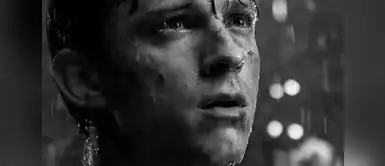 Querida actriz de Spider-Man fallece antes del estreno de su nueva película y su despedida conmueve. Querida actriz de 'Spider-Man' fallece justo antes del estreno: Detalles de sus últimos días