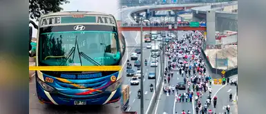 Gremio de transportistas tomarán decisión tras ataque a bus ¿Habrá nuevo PARO NACIONAL? Transportistas revelarán este jueves si paralizarán sus actividades ante nuevo ataque a bus