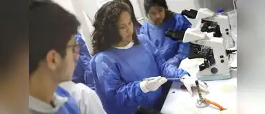 Los postulantes podrán realizar la subsanación de observaciones entre el jueves 3 y viernes 4 de setiembre, a través de la plataforma Serums Digital. Serums 2026-II: Minsa publica la lista de postulantes aptos y observados del proceso de adjudicación