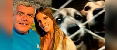 Alejandra Baigorria y su padre en aprietos Alejandra Baigorria y su padre son DENUNCIADOS por presunto ABANDONO de albergue de mascotas en Chaclacayo: "Que venga a dar la cara"