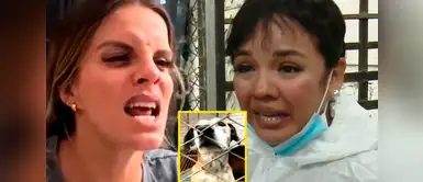 Alejandra Baigoria se defiende tras acusaciones en su contra Alejandra Baigorria NO SE QUEDA CALLADA y enfrenta a usuarios tras denuncia por albergue de mascotas en Chaclacayo: “Te estás equivocando”