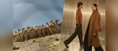 la nueva colección de la marca KUNA integrada por abrigos, sacos, suéteres, cárdigans, capas, estolas, chalinas y gorros elaborados íntegramente en el Perú. La fibra que sobrevivió a la extinción: el sorprendente material que desafió al paso del tiempo
