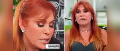Magaly Medina deja EN SHOCK al admitir EN VIVO que ya no tiene noticias para su programa y toma RADICAL decisión: "Tengo que...." Magaly DEJA HELADOS A TODOS al revelar EN VIVO que no tiene noticias para su programa y tiene EXTREMA medida: “Tengo que…”
