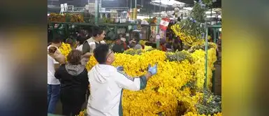 ¡Aumentan los precios! Flores amarillas para el 21 de septiembre alcanzan S/70: ¿Qué causó el incremento? ¡Aumentan los precios! Flores amarillas para el 21 de septiembre alcanzan S/70: ¿Qué causó el incremento?