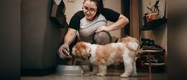 Recomendaciones para cuando las mascotas pierden el apetito. ¡Mi mascota no quiere comer! Expertos explican las causas de la pérdida de apetito en perros y gatos