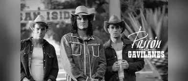 Fallece querido actor de Pasión de Gavilanes Fallece recordado ACTOR de 'Pasión de Gavilanes' y compañeros le dan el último adiós: "Qué noticia tan triste"
