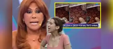 Vecinos denunciaron de maltrato animal a Greissy Ortega. Magaly Medina arremete contra Greissy Ortega por denuncia de presunto maltrato animal y exige intervención policial