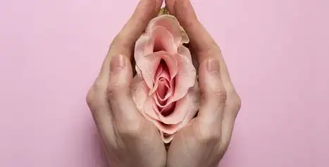 Cuidar la microbiota vaginal: La importancia del Lactobacillus crispatus Cuidar la microbiota vaginal: La importancia del Lactobacillus crispatus