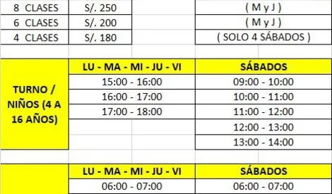 Precios y horarios para clases de natación en la piscina del Campo de Marte.<br> “/></figure>
<!-- A generated by theme -->
<script async src=