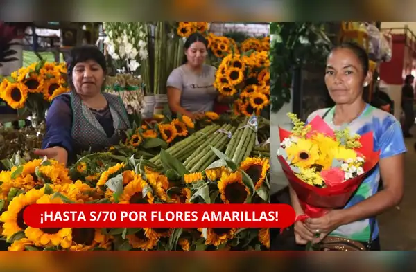 Flores Amarillas para el 21 de Septiembre Alcanzan S/70 wapa.pe