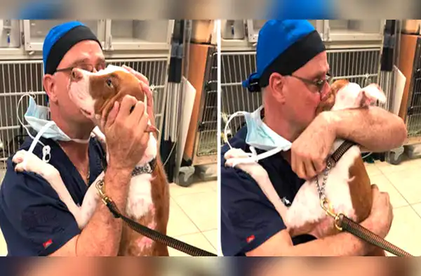 En Facebook se compartió el video donde un perrito se reencuentra con el veterinario que lo curó y le salvó la vida. wapa.pe