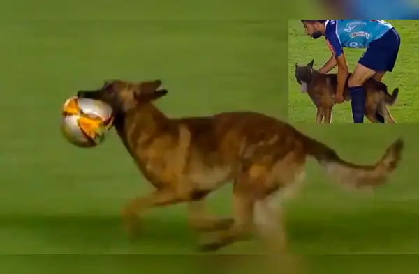 Adorable perrito le quita la pelota a futbolistas wapa.pe