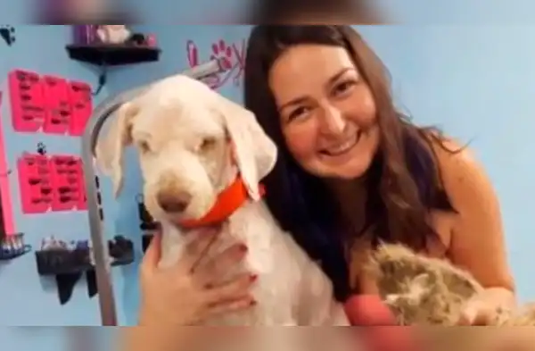 El video se encuentra disponible en YouTube. wapa.pe