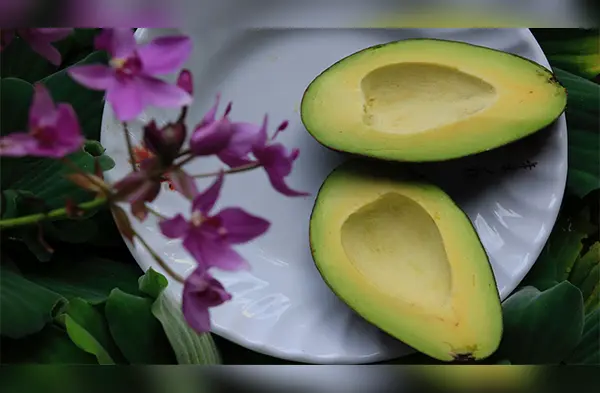 Esta es la razón por la que te obseciona comer palta wapa.pe