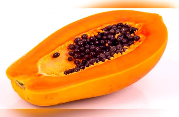 Vida saludable: cuáles son los beneficios de las semillas de papaya. (Foto: Redes Sociales) wapa.pe