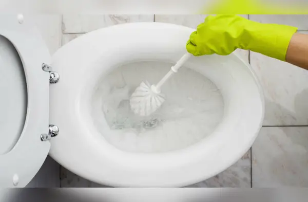 ¿Cómo hacer pastillas de bicarbonato de sodio para desinfectar el inodoro? wapa.pe