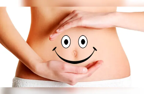 Sistema digestivo (Foto: Redes Sociales) wapa.pe