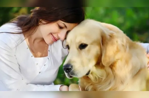 Los perros pueden detectar estas enfermedades de su dueño wapa.pe