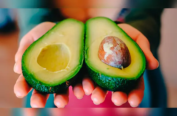 Las personas interesadas recibirán una buena cantidad de dinero solo por comer palta. (Foto: Pixabay) wapa.pe