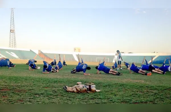 Tesapara, la perrita asistente técnico de fútbol, enamora a todos en las redes sociales wapa.pe