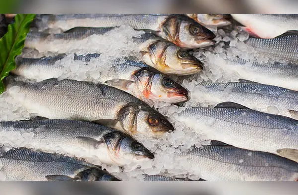 Descubre qué pescados te ofrecen este beneficio. wapa.pe