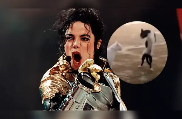 Gato baila al estilo de Michael Jackson wapa.pe