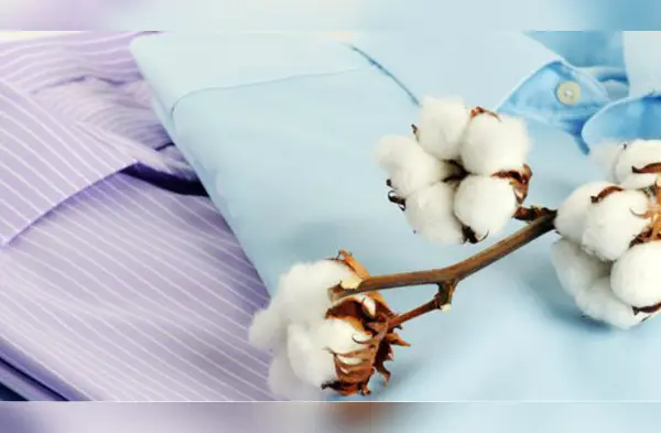 Cuida tus prendas de algodón con estos consejos wapa.pe