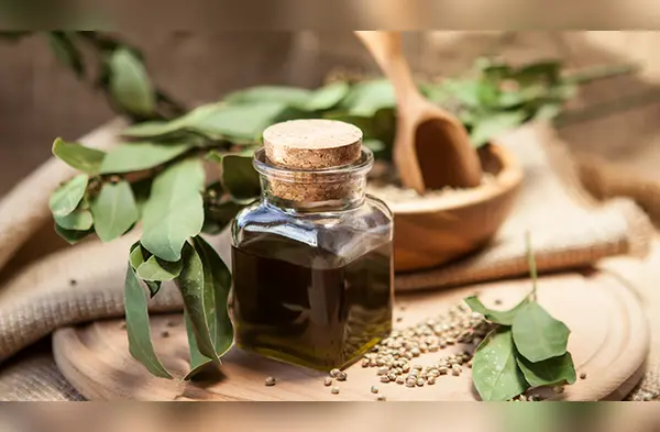 Solo otro país en todo el mundo, Uruguay, ha legalizado el consumo recreativo de la marihuana. (Foto: Redes sociales) wapa.pe