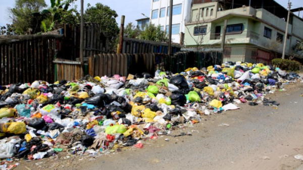 Reporta Residuos: Lanzan aplicativo móvil para alertar acumulación de basura en las calles wapa.pe